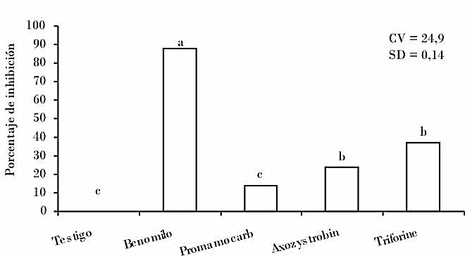 Efecto de fungicidas sistémicos sobre el porcentaje de inhibición en el crecimiento micelial de Corynespora cassiicola. Valores con la misma letra son estadísticamente iguales para p = 0,05.