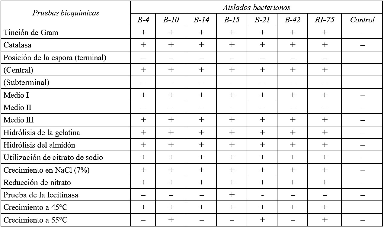 Resultados de la caracterización bioquímica de los aislados antagonistas