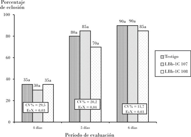Porcentaje de eclosión de huevos de C. exterior tratados con B. bassiana a los diferentes días de evaluados.