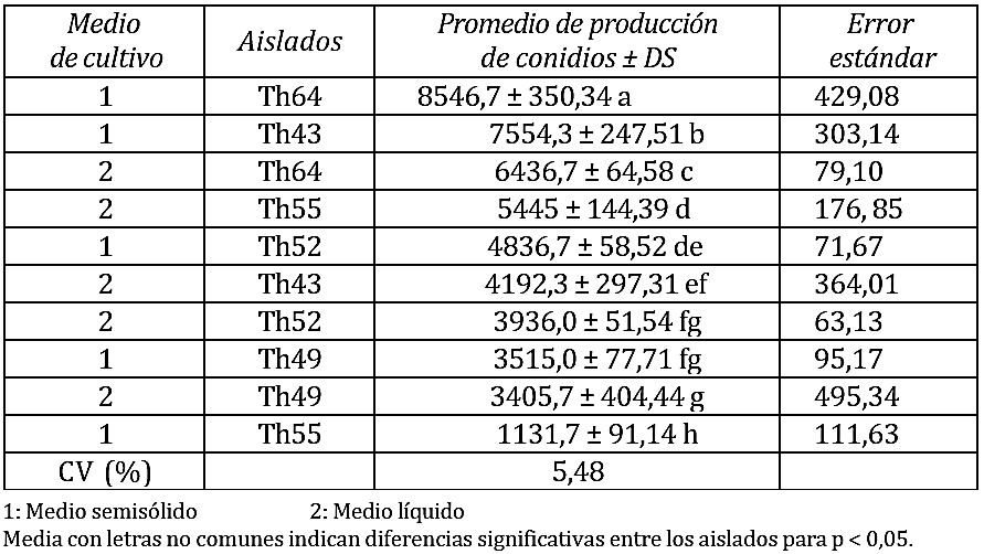 Producción de conidios de T. harzianum/mL a las 96 h en los medios de multiplicación
