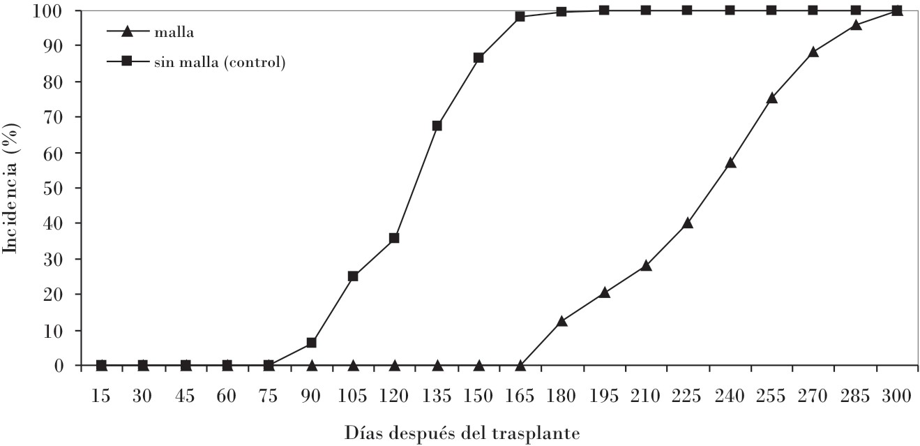 Incidencia del PRSV en plantaciones de papaya var. Maradol Roja procedentes de plantas de viveros protegidos y sin proteger con mallas antiáfidos.