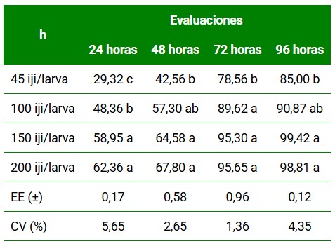 Porcentaje de mortalidad de las larvas de P. xylostella por el efecto de S. feltiae