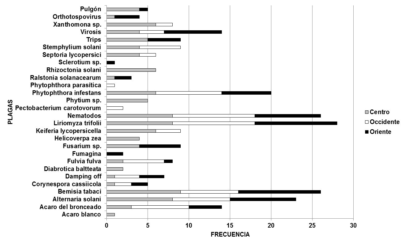 Plagas con mayor frecuencia en el cultivo del tomate (S. lycopersicum L) por región.